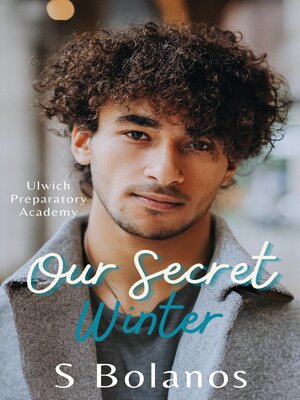 cover image of Our Secret Winter